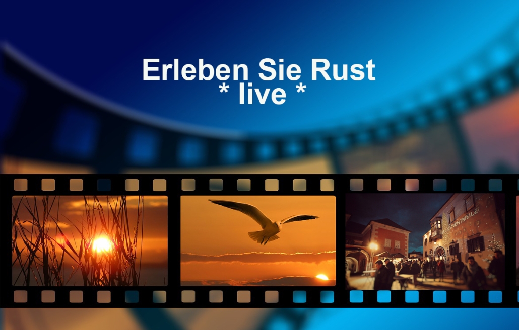 Rust live